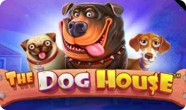 Alawin Casino – The Dog House